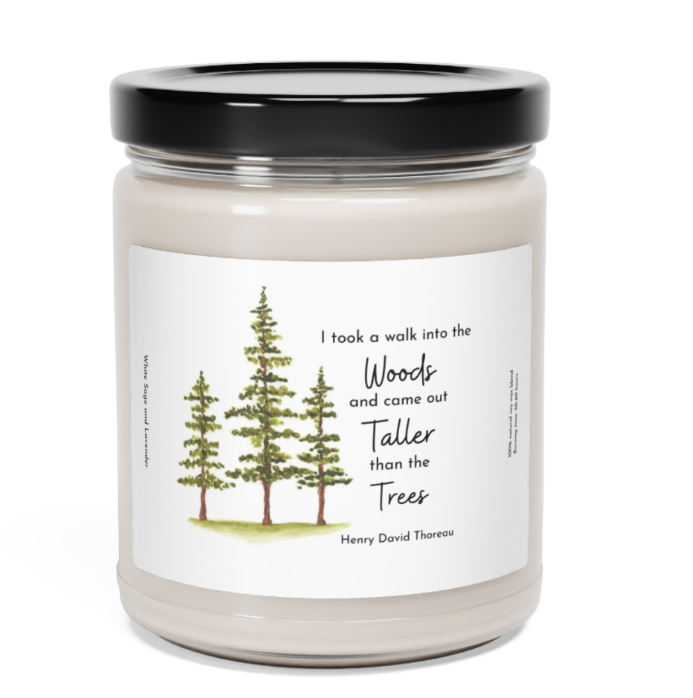 Soy Candles